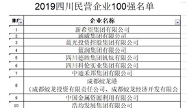 德勝集團(tuán)位列 2019四川省民營企業(yè)100強第5位