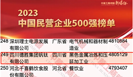 德勝集團連續(xù)14年上榜中國民營企業(yè)500強