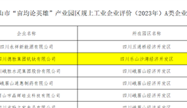 德勝釩鈦入選2023年度“畝均論英雄”產(chǎn)業(yè)園區(qū)規(guī)上工業(yè)A類企業(yè)